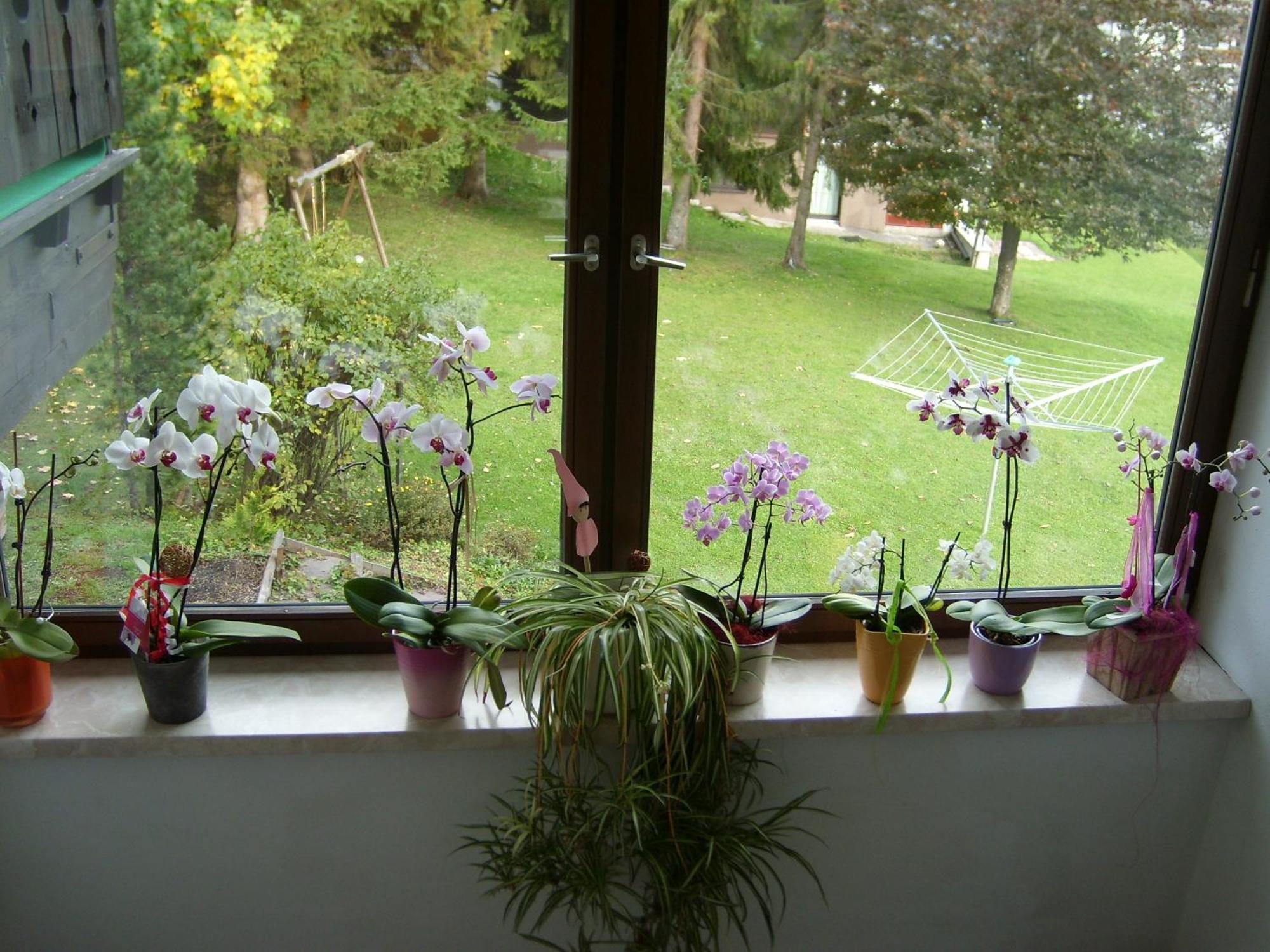 Appartements Birkenhof 贝旺 外观 照片